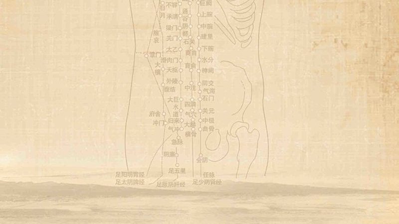 如何挑选家用养生保健仪器？揭秘选购要点与误区