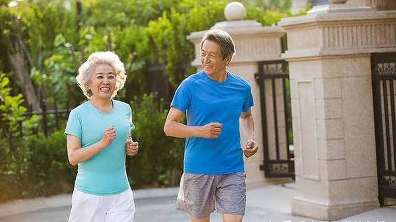 中医养生食谱大全电子版下载